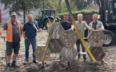Het insectenhotel “Koningspage” staat!